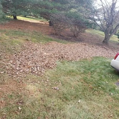 Professional yard cleanup service in Lansing, MI - Lawn Barbers of Lansing