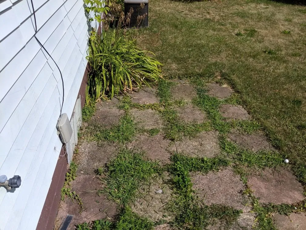 Expert residential landscaping experts serving Royal Oak, MI - Lawn Barbers