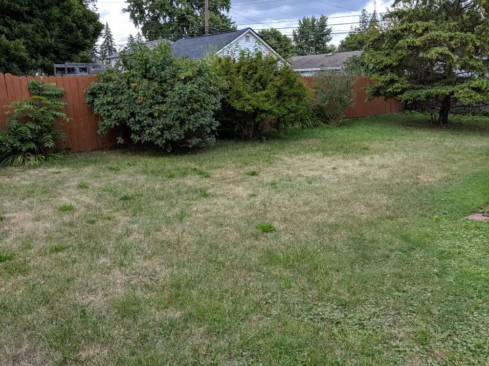 Trusted landscape installation in Royal Oak, MI by Lawn Barbers