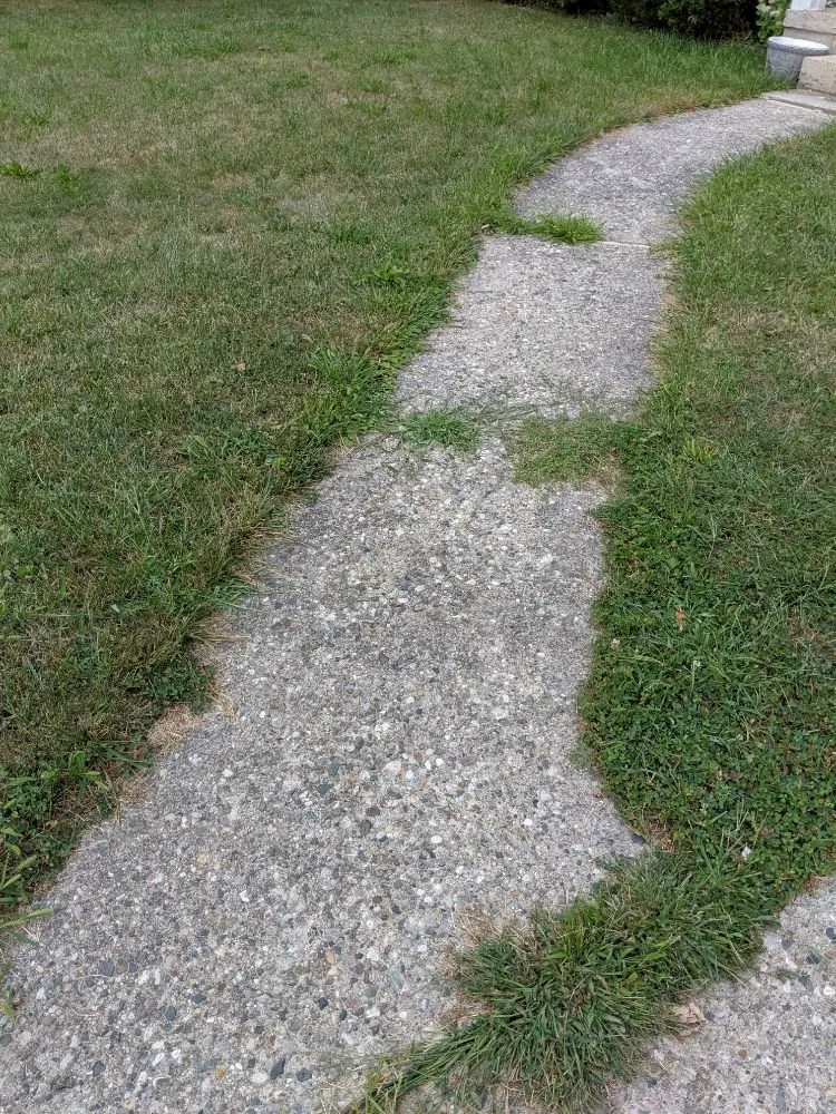 Expert residential landscaping for homes across Royal Oak, MI - Lawn Barbers