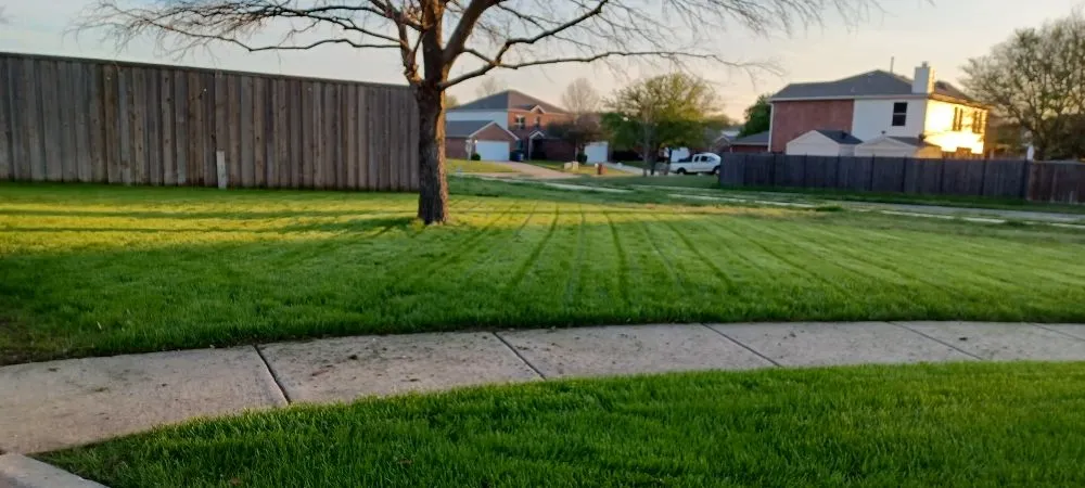 Reliable yard maintenance experts serving Corinth, TX - Lawn Barberz