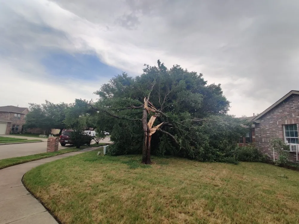 Top-rated residential landscaping in Corinth, TX - Lawn Barberz