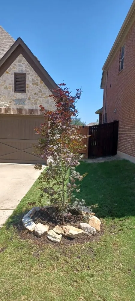 Top-rated lawn care service for year-round maintenance across Corinth, TX - Lawn Barberz