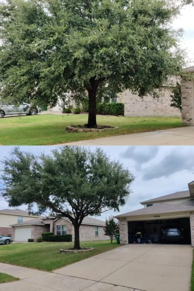Affordable landscape installation in Corinth, TX - Lawn Barberz