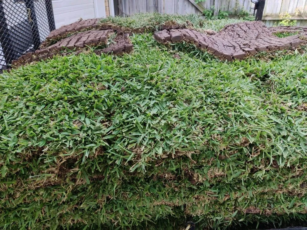 Trusted landscape installation in Corinth, TX by Lawn Barberz