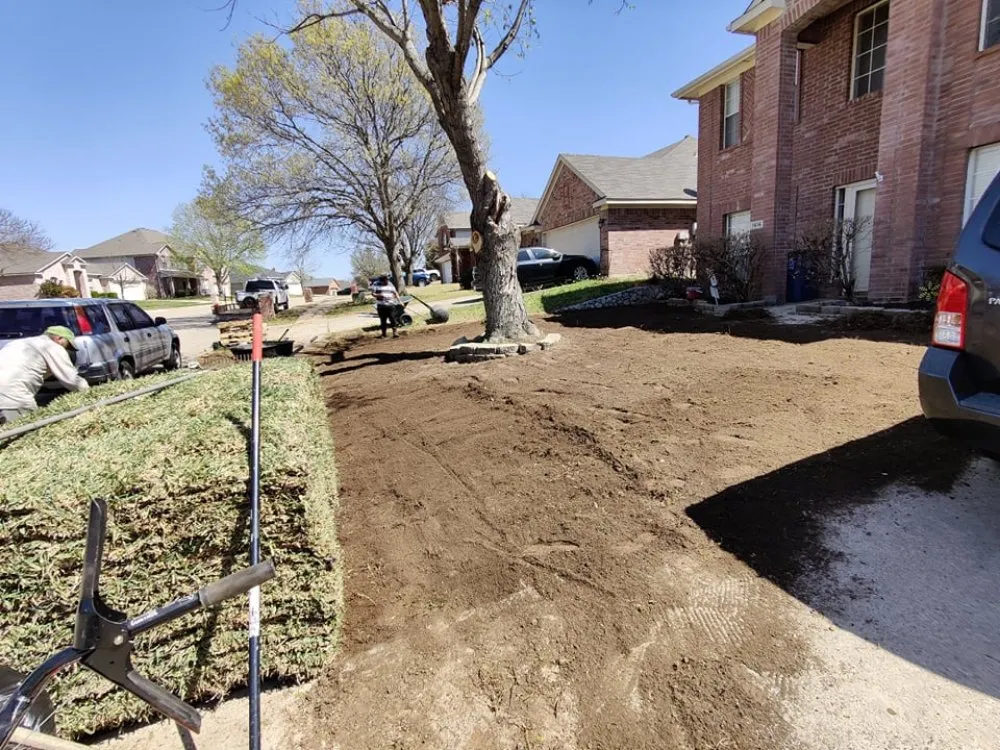 Affordable lawn mowing service experts serving Corinth, TX - Lawn Barberz