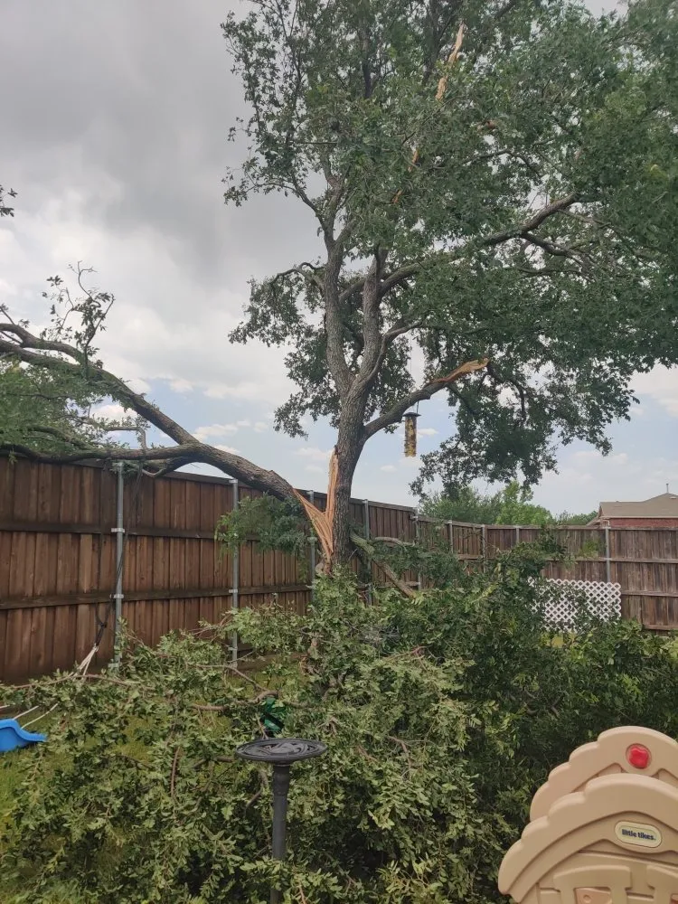 Trusted lawn care service in Corinth, TX by Lawn Barberz