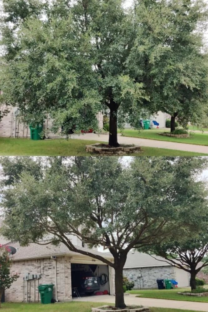 Trusted lawn care service experts serving Corinth, TX - Lawn Barberz