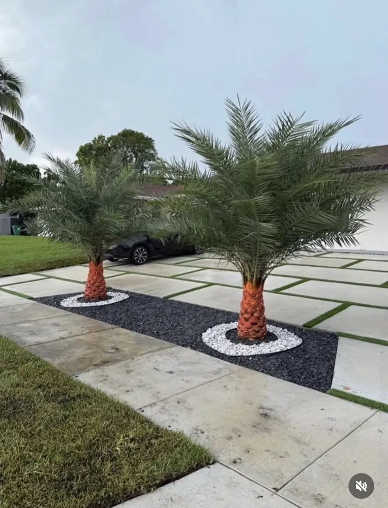 Professional outdoor landscaping in North Miami, FL - Lawn Beast Landscaping