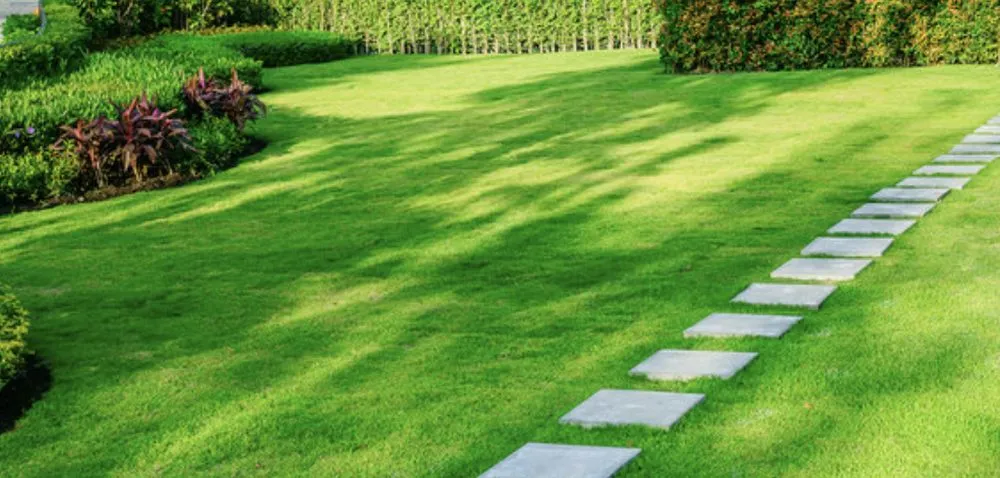 Local yard maintenance experts serving Towanda, PA - Lawn Beautician
