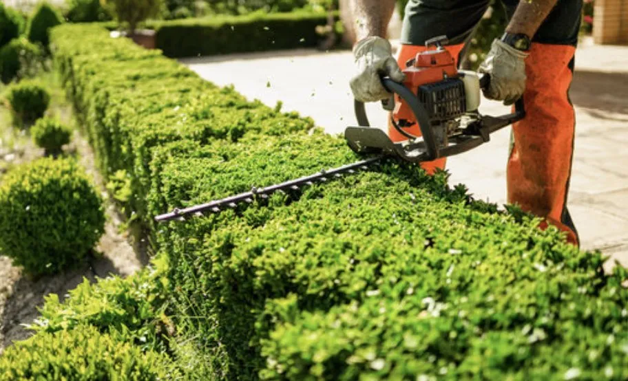 Expert residential landscaping in Towanda, PA by Lawn Beautician