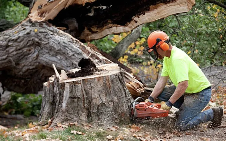 Professional lawn mowing service for homes across Towanda, PA - Lawn Beautician