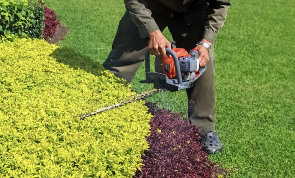 Professional yard cleanup service for beautiful yards across Towanda, PA - Lawn Beautician