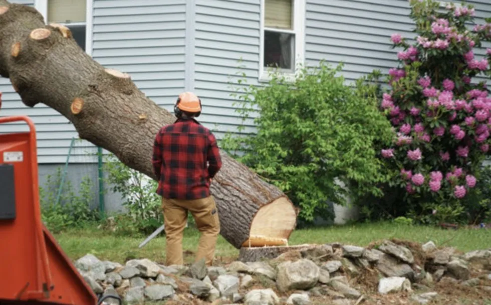 Local outdoor landscaping for residential properties in Towanda, PA by Lawn Beautician