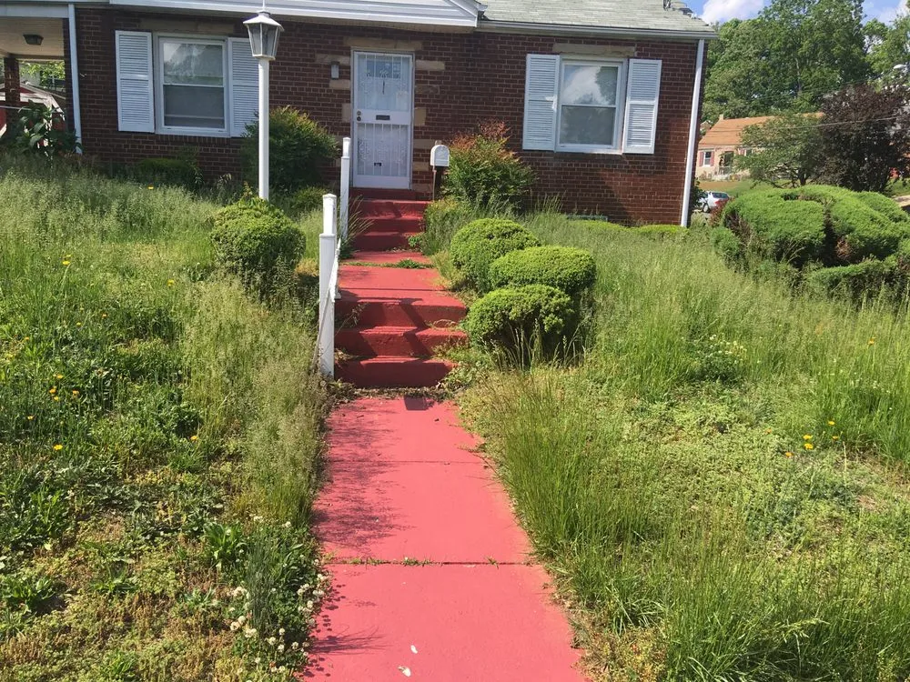 Expert lawn mowing service in Clinton, MD - Lawn Beez