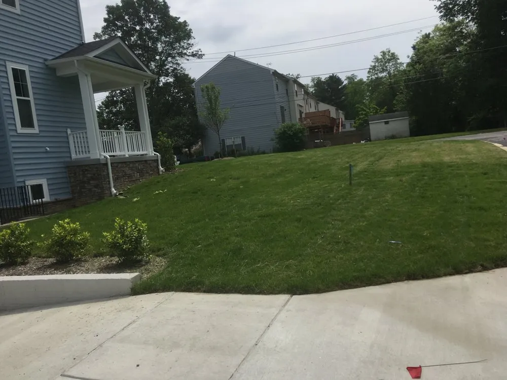 Affordable landscape installation in Clinton, MD by Lawn Beez