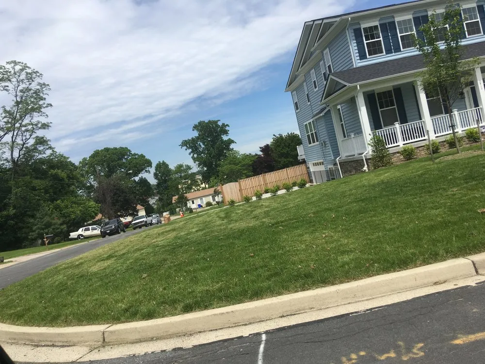 Custom yard cleanup service experts serving Clinton, MD - Lawn Beez