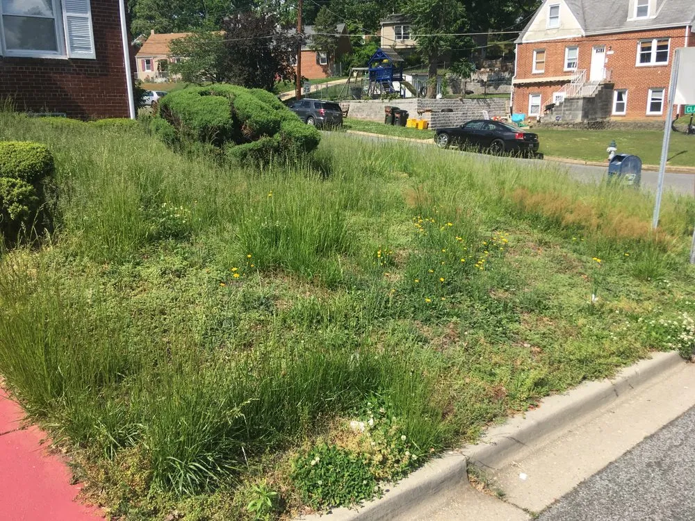 Local landscape installation in Clinton, MD - Lawn Beez