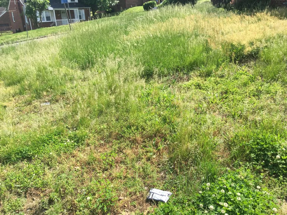 Reliable landscaping services near you in Clinton, MD by Lawn Beez