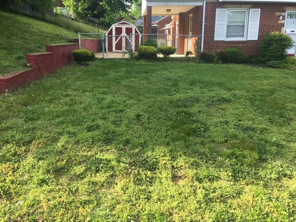 Expert landscape installation experts serving Clinton, MD - Lawn Beez