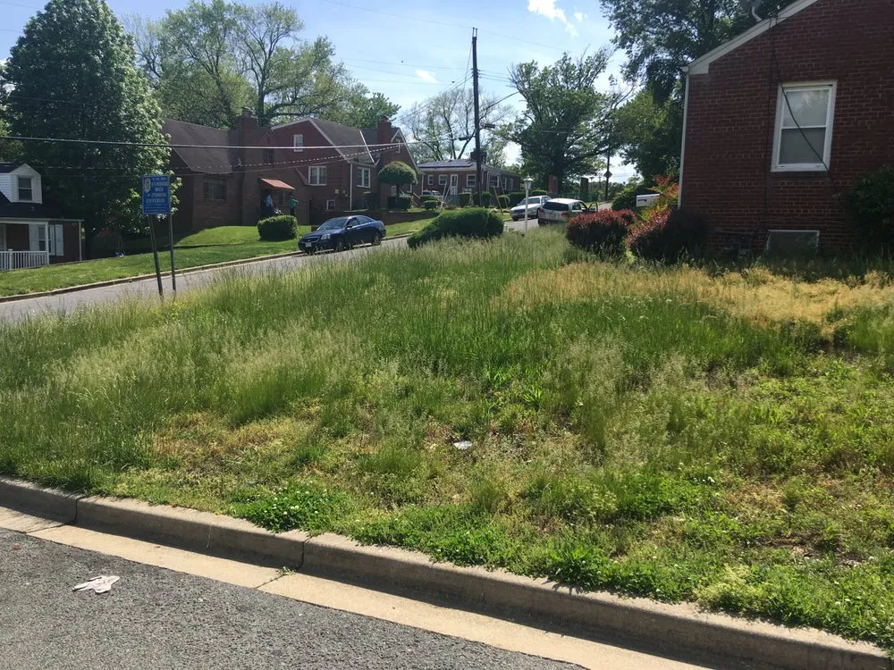 Trusted landscape installation experts serving Clinton, MD - Lawn Beez