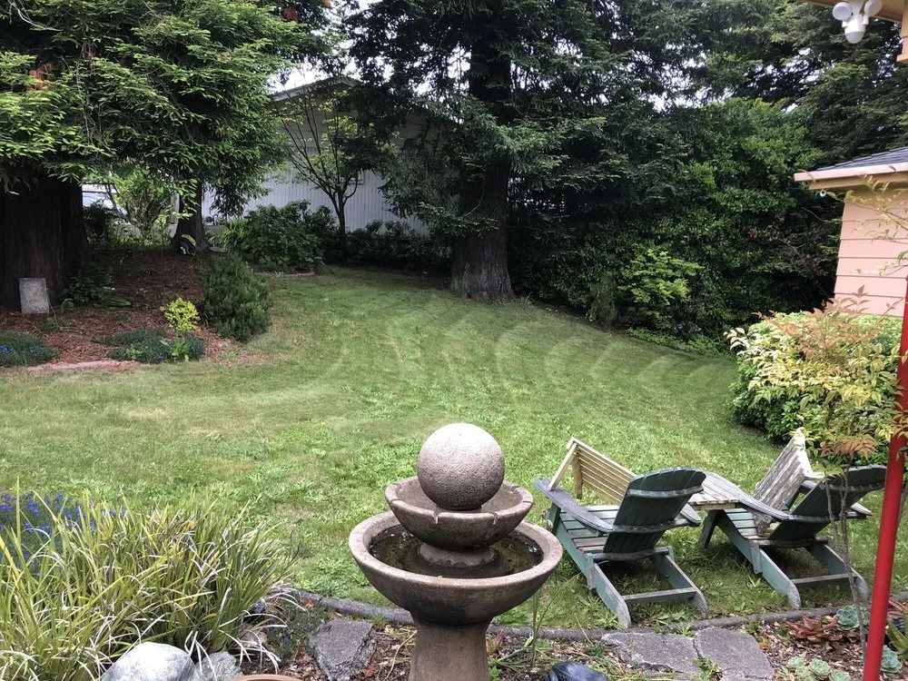 Reliable outdoor landscaping in Eureka, CA by Lawn-Believable
