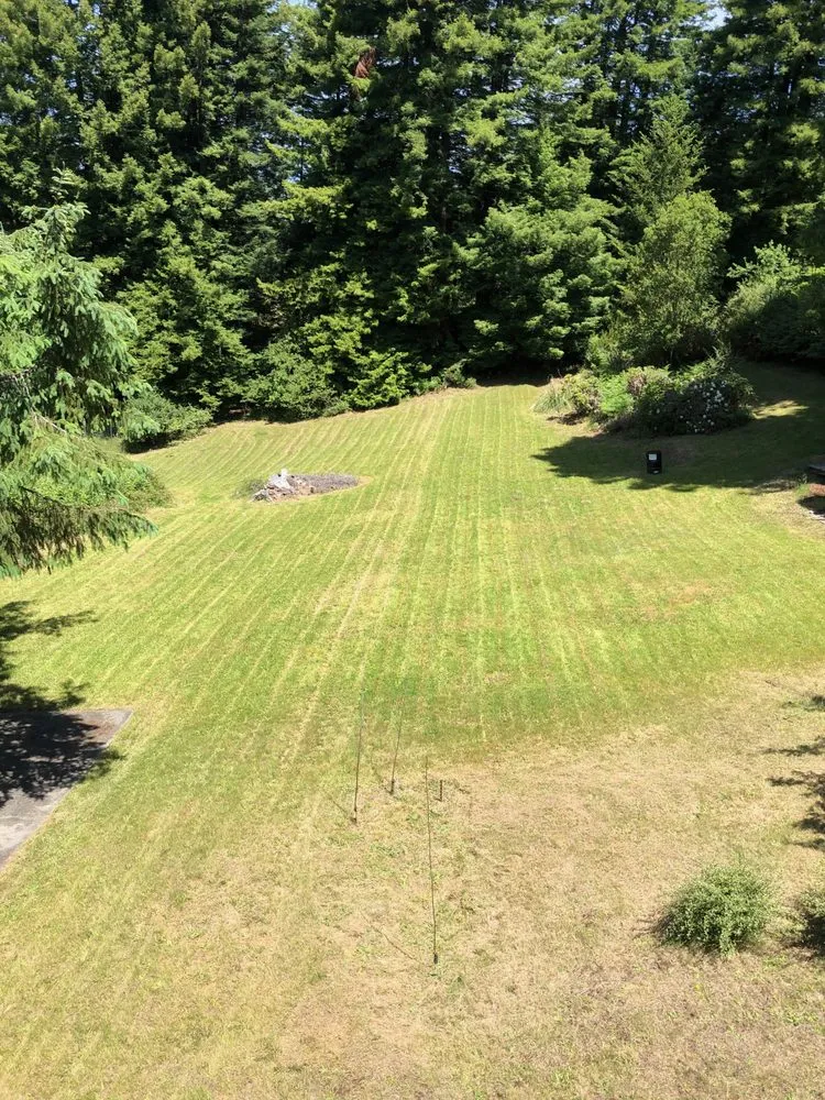 Top-rated landscaping services experts serving Eureka, CA - Lawn-Believable
