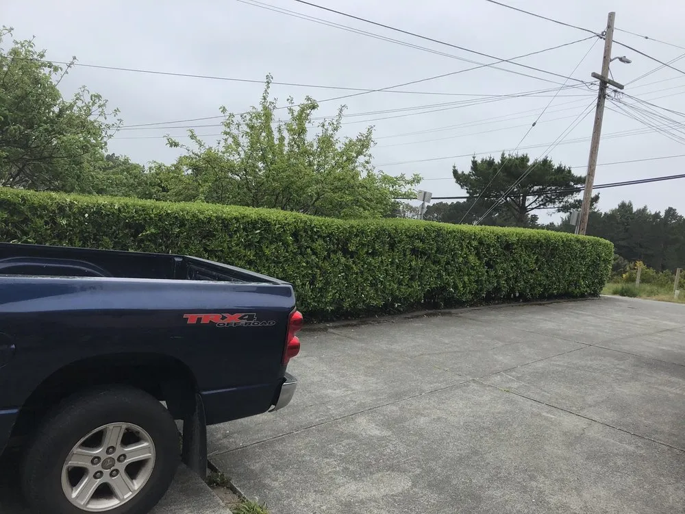 Top-rated garden landscaping with custom design across Eureka, CA - Lawn-Believable