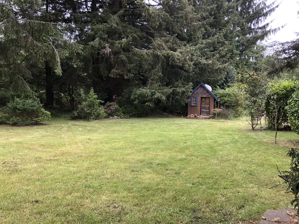 Custom yard cleanup service for residential properties across Eureka, CA - Lawn-Believable