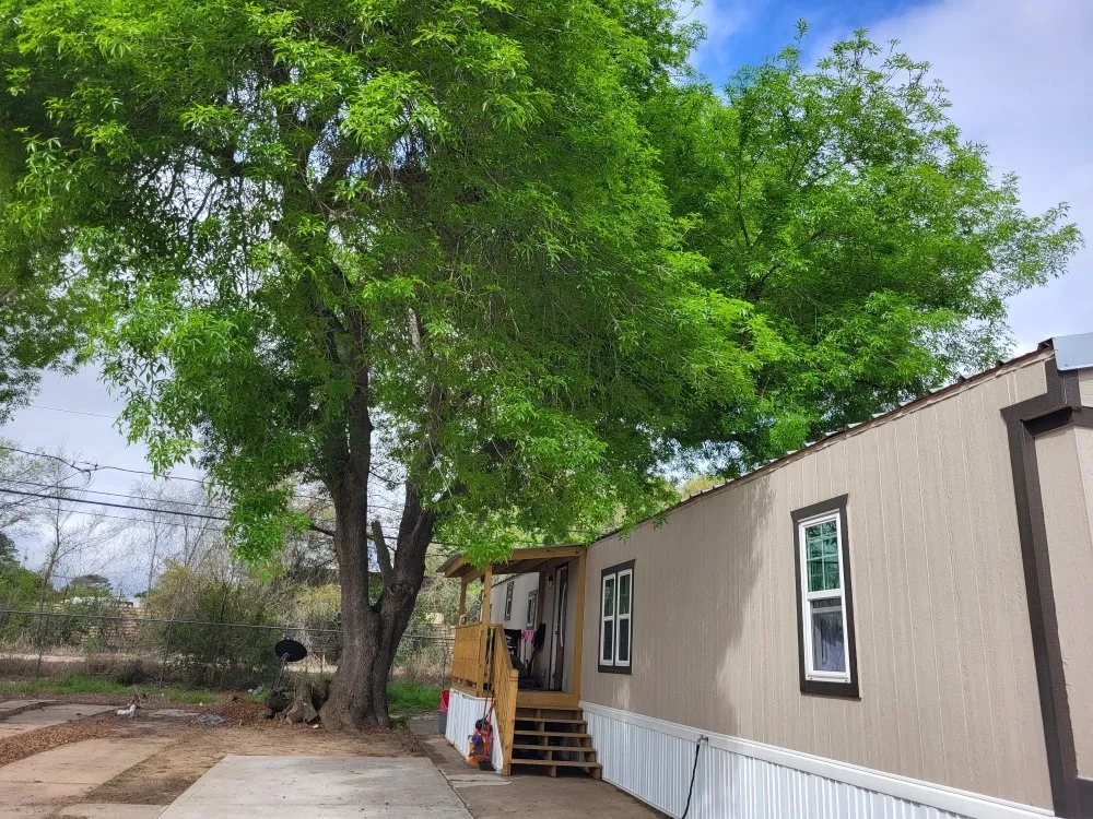 Trusted residential landscaping experts serving Dickinson, TX - Lawn Boss