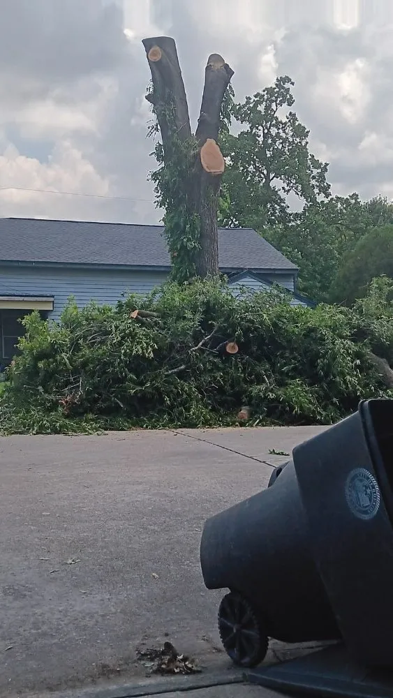 Reliable landscaping services for residential properties in Dickinson, TX by Lawn Boss