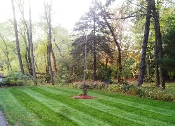 Reliable garden landscaping near you in Dunstable, MA by Lawn Boss Landscaping