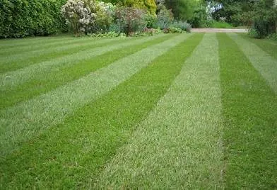 Expert landscape design experts serving Boardman, OR - Lawn Boss Services