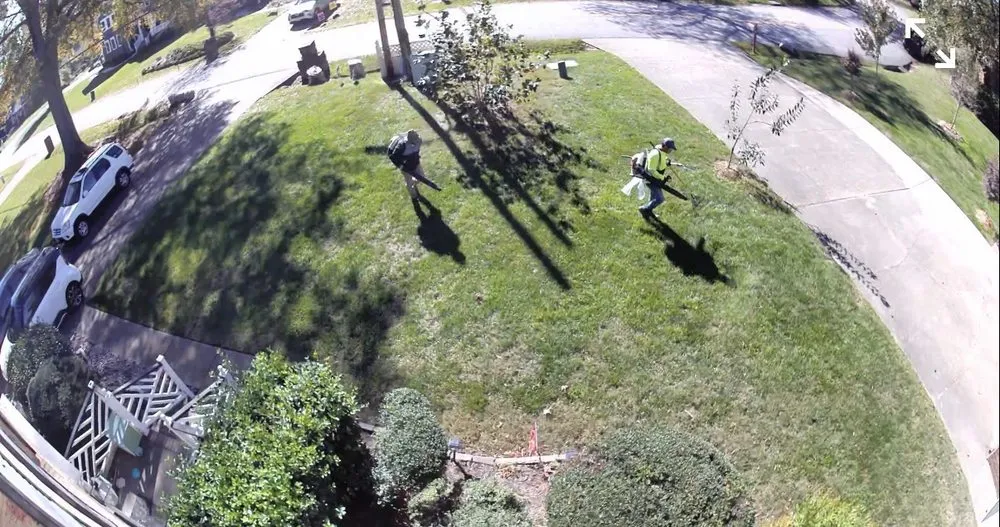 Expert yard cleanup service in Virginia Beach, VA - Lawn Boss