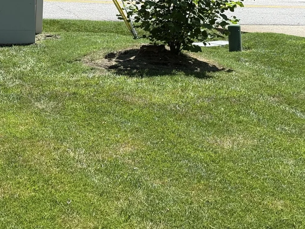 Trusted landscaping services in Virginia Beach, VA - Lawn Boss