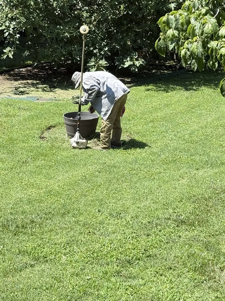 Expert yard cleanup service for beautiful yards in Virginia Beach, VA by Lawn Boss