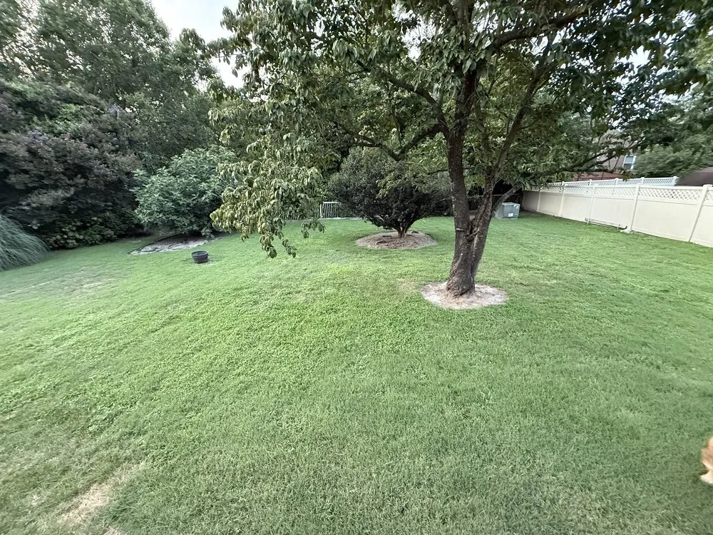 Local yard maintenance experts serving Virginia Beach, VA - Lawn Boss