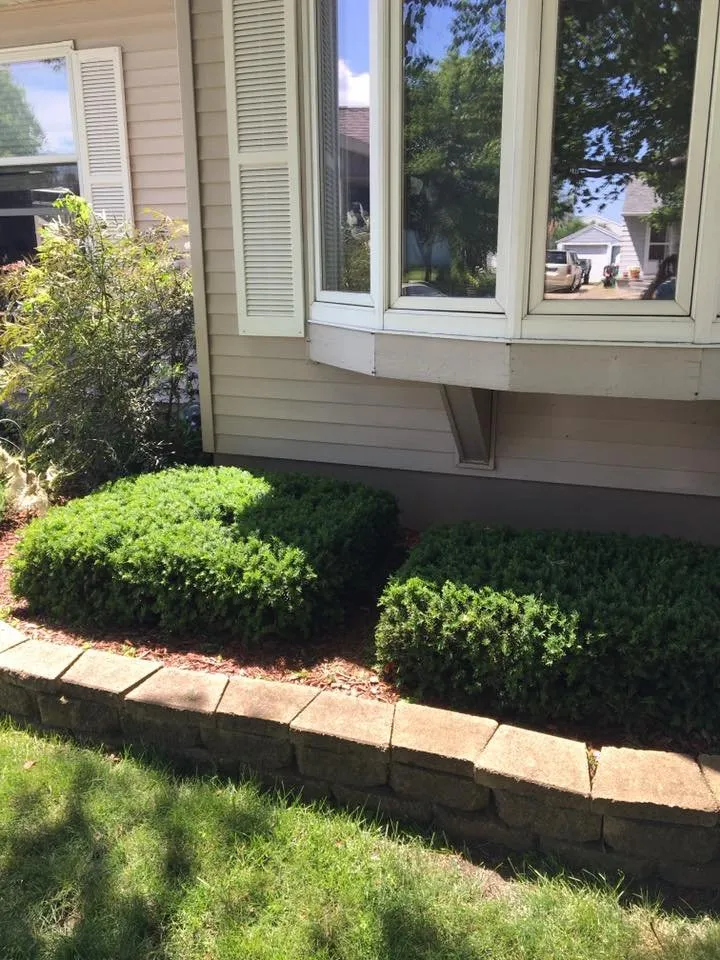 Professional landscaping services for residential properties across Fond du Lac, WI - Lawn Boy