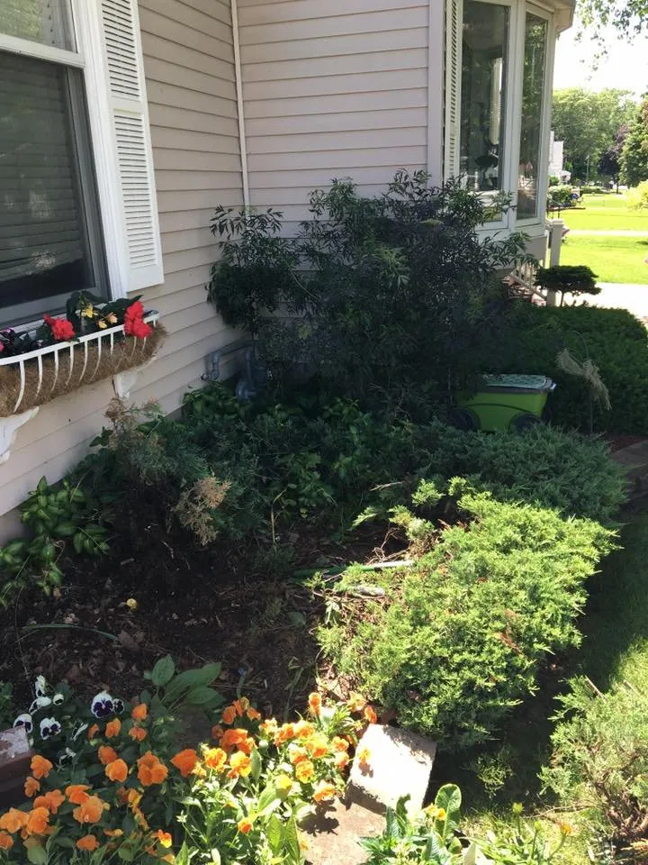 Reliable lawn mowing service for year-round maintenance in Fond du Lac, WI by Lawn Boy