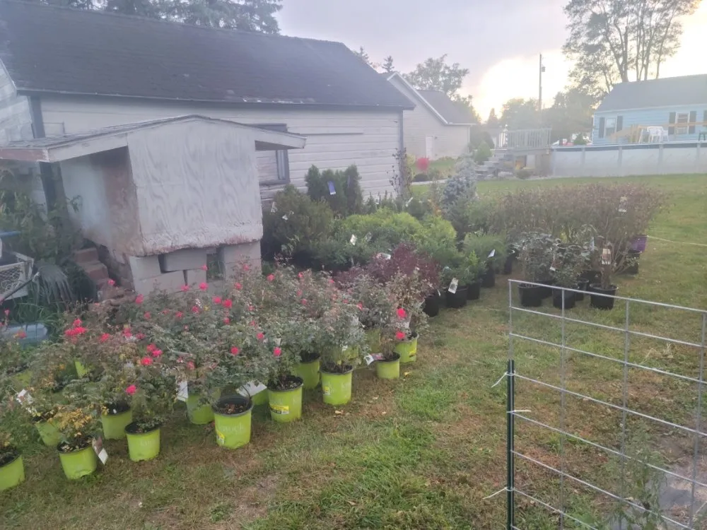 Professional landscape installation in Risingsun, OH - Lawn Boy Landscaping