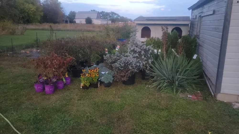 Top-rated yard cleanup service in Risingsun, OH by Lawn Boy Landscaping