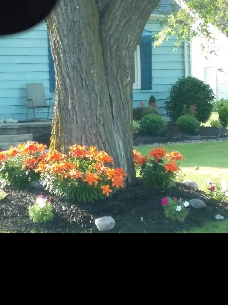 Top-rated lawn mowing service for year-round maintenance across Risingsun, OH - Lawn Boy Landscaping