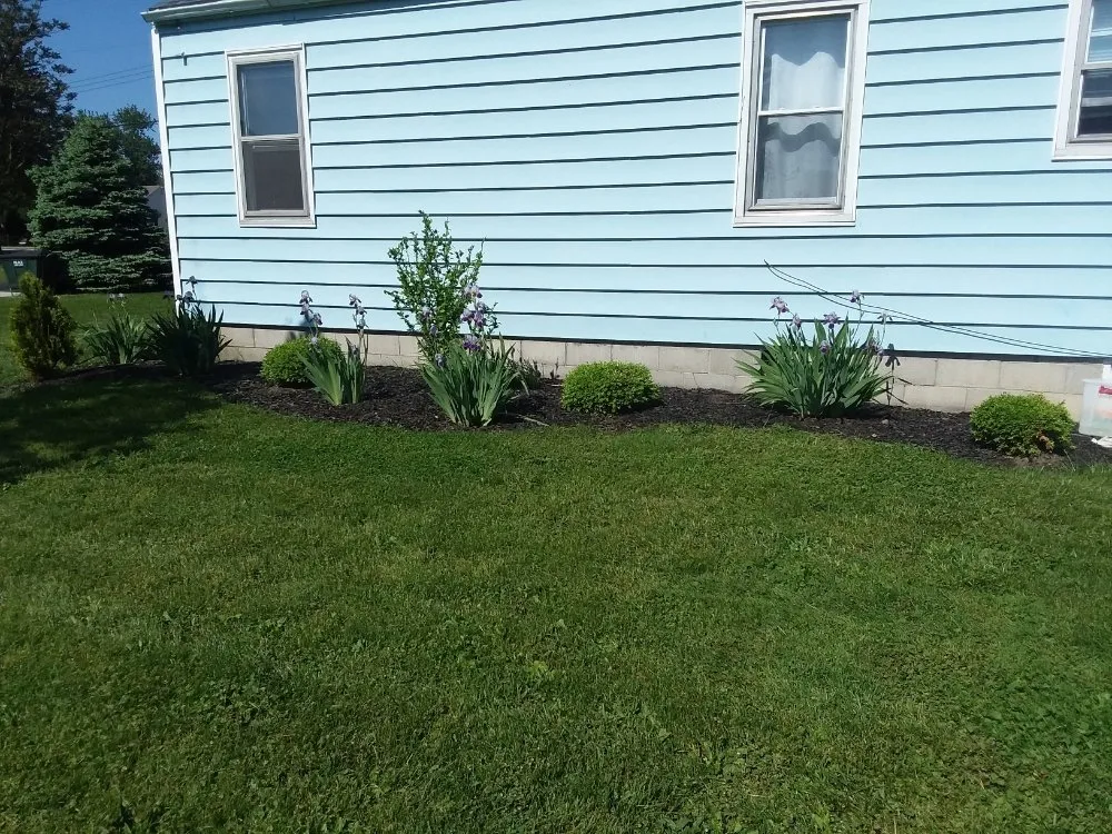 Trusted lawn mowing service in Risingsun, OH by Lawn Boy Landscaping