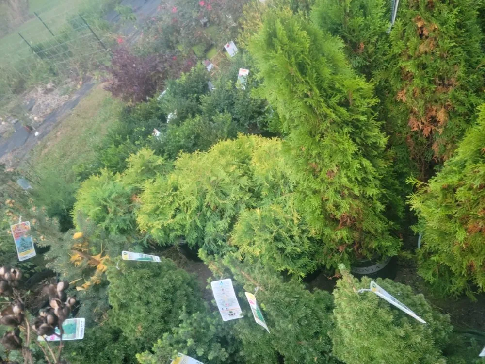 Professional yard maintenance near you in Risingsun, OH by Lawn Boy Landscaping