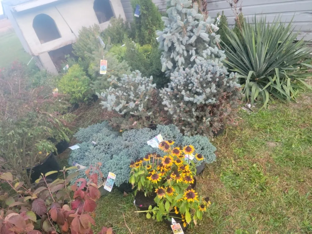 Custom garden landscaping for outdoor upgrades in Risingsun, OH by Lawn Boy Landscaping