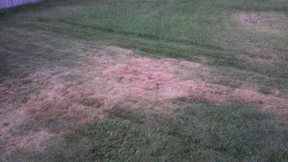 Affordable landscaping services experts serving Amarillo, TX - Lawn Boy Services