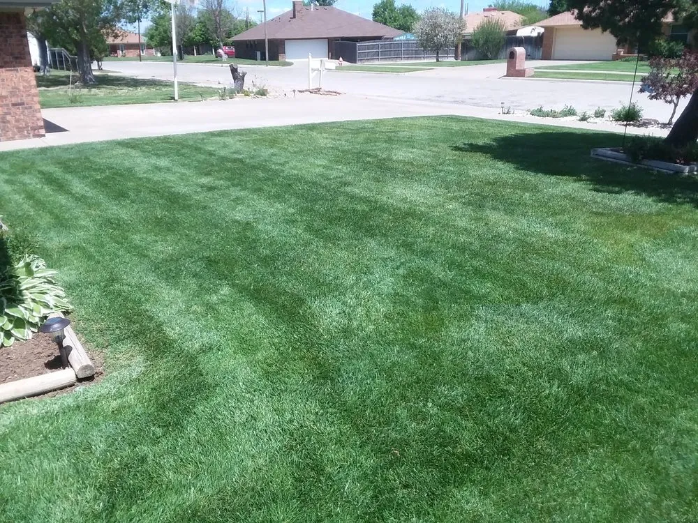 Custom landscaping services for beautiful yards across Amarillo, TX - Lawn Boy Services