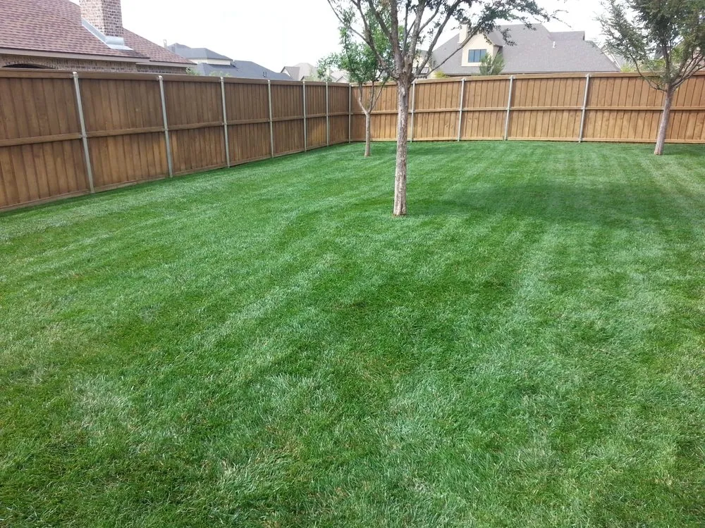 Reliable lawn care service in Amarillo, TX by Lawn Boy Services