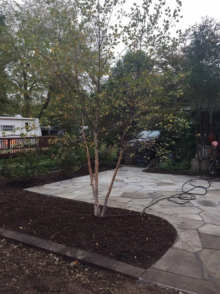 Expert yard cleanup service in Bangor, MI by Lawn Boys