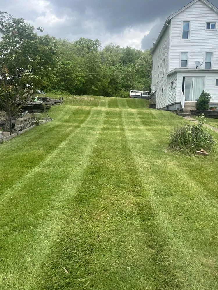 Affordable landscaping services in Freedom, PA by Lawn Boys Landscaping